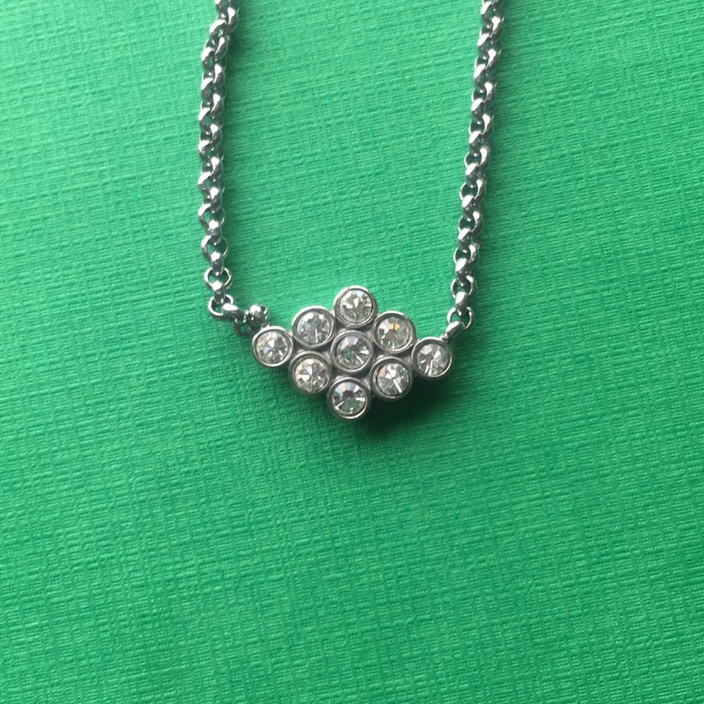 Fossil necklace